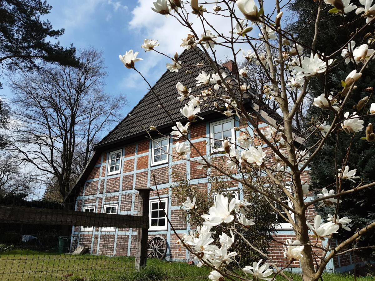 Schoenes Apartment Vor Den Toren Hamburgs - Keine Monteurwohnung Asendorf Exterior foto