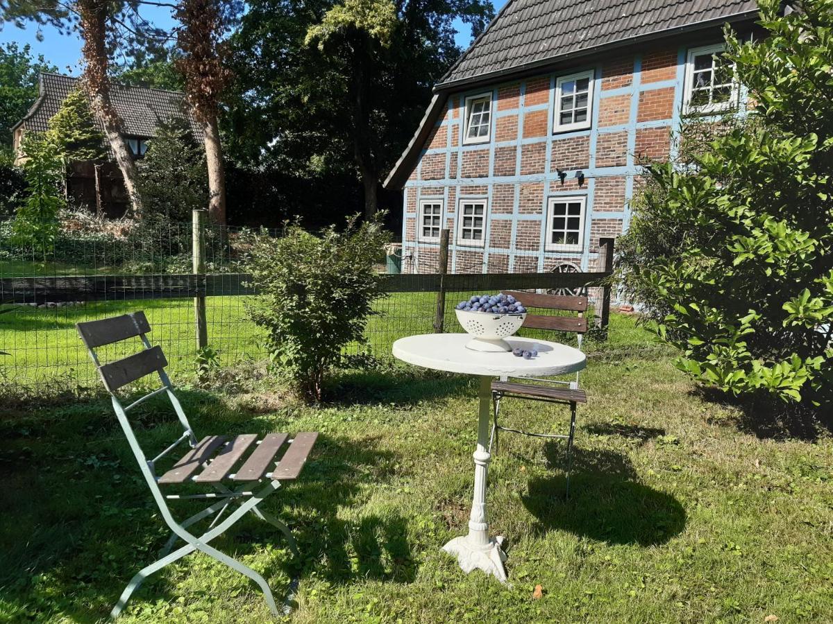 Schoenes Apartment Vor Den Toren Hamburgs - Keine Monteurwohnung Asendorf Exterior foto